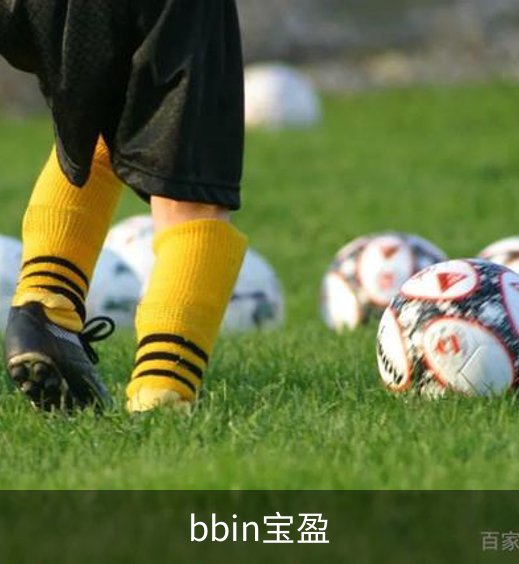 bbin宝盈概况